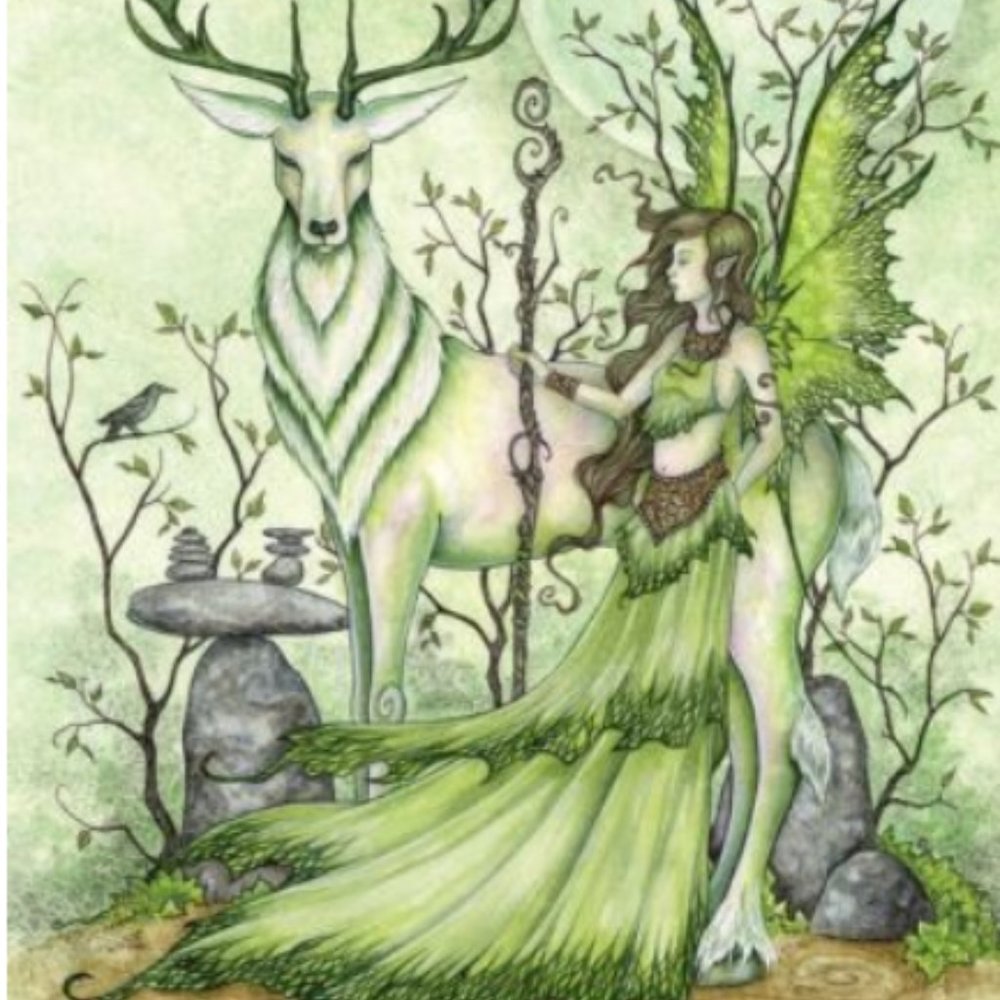 Fairy Wisdom Oracle Cards Deck Book Set Amy Brown - Picture 4 of 8